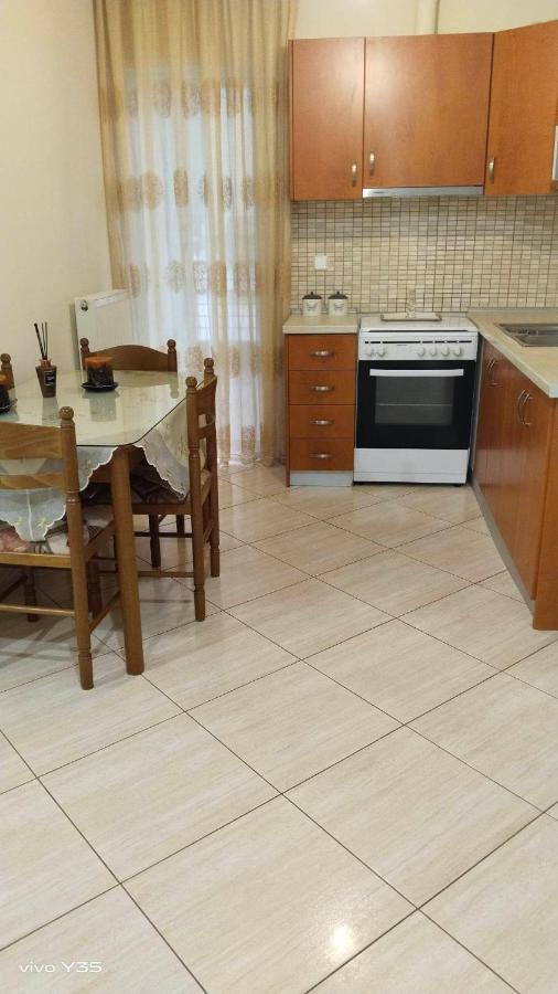 Апартаменти Ομορφο Διαμερισμα Στο Κεντρο Της Πολης Με Παρκιν Трикала Екстер'єр фото